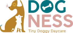 DOG Ness hondenopvang Nesselande